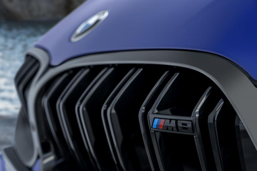 Детали экстерьера BMW M8 Competition Coupe (F92) 2019 года  (WW) (фото 24 из 59)